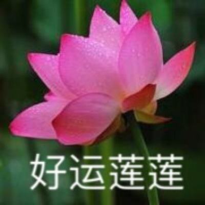 水果快跑2游戏下载